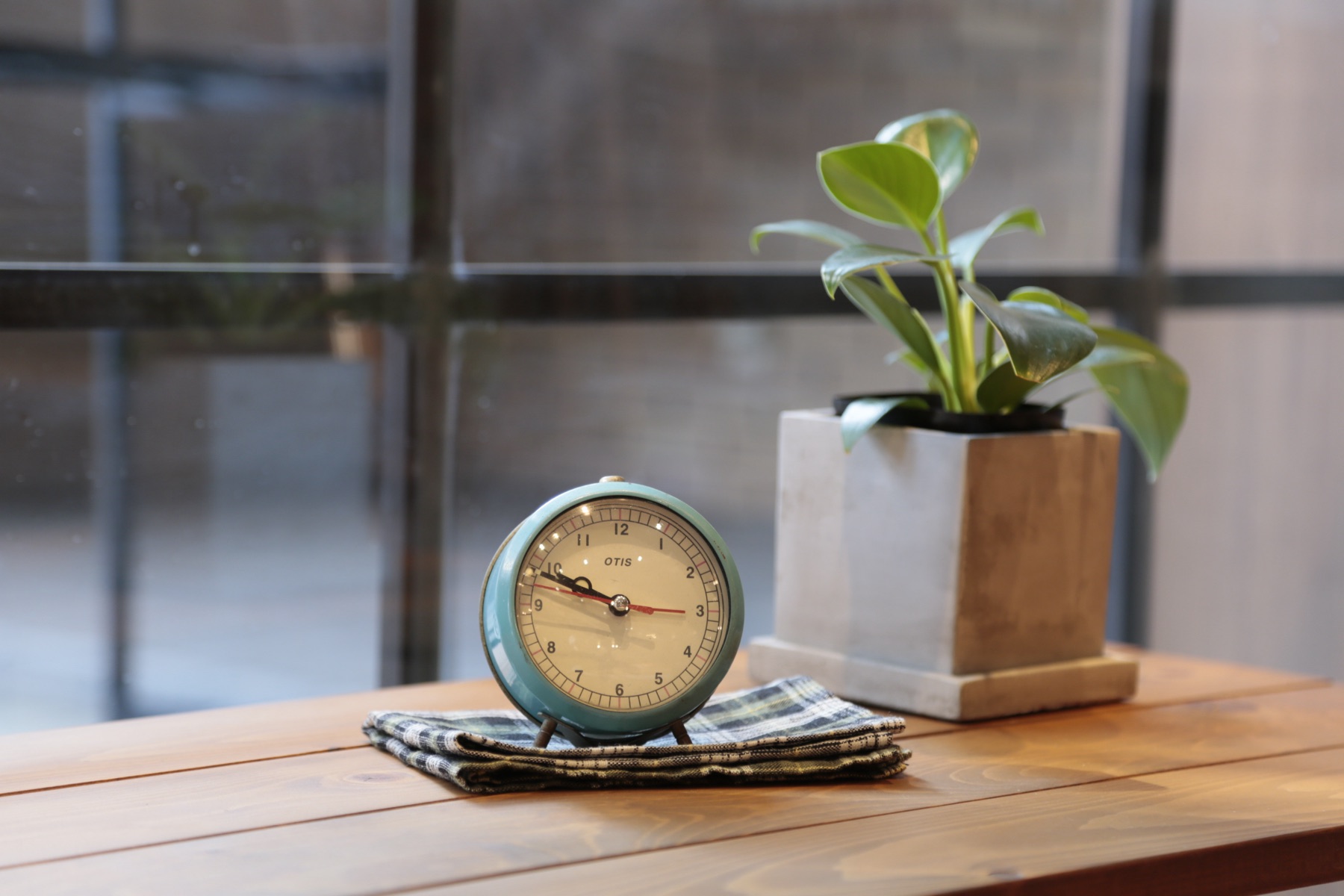 still life, clock and plant